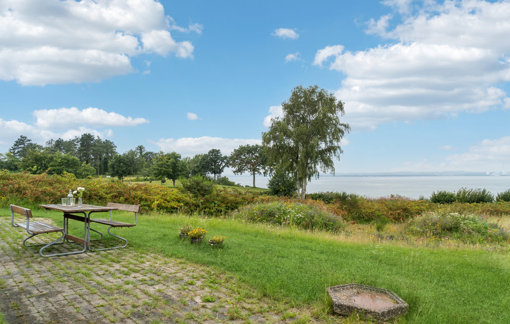 Feriehus - Skødshoved , Danmark - D36041 12