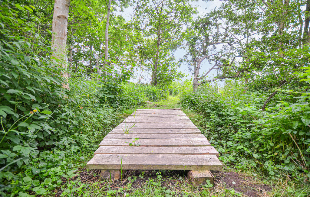 Feriehuse - Knebel Strand , Danmark - D39539 39