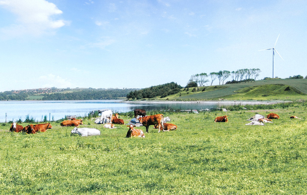 Ferienhaus - Knebel Strand , Dänemark - D39239 34