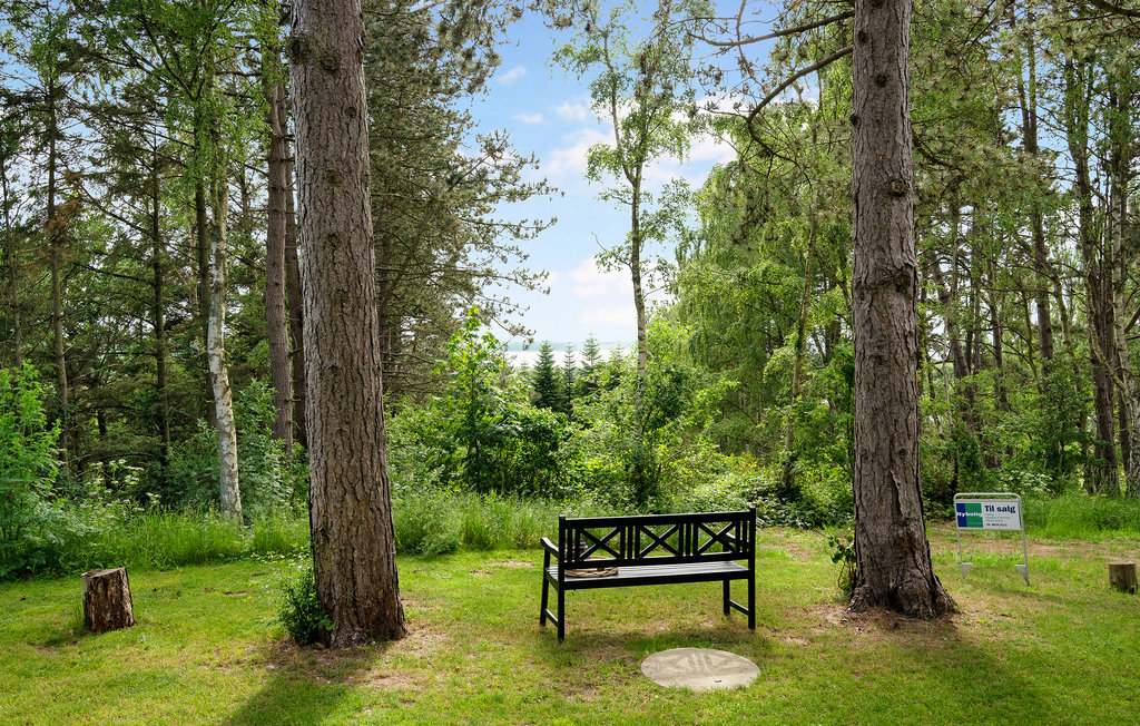 Ferienhaus - Knebel Strand , Dänemark - D39239 17