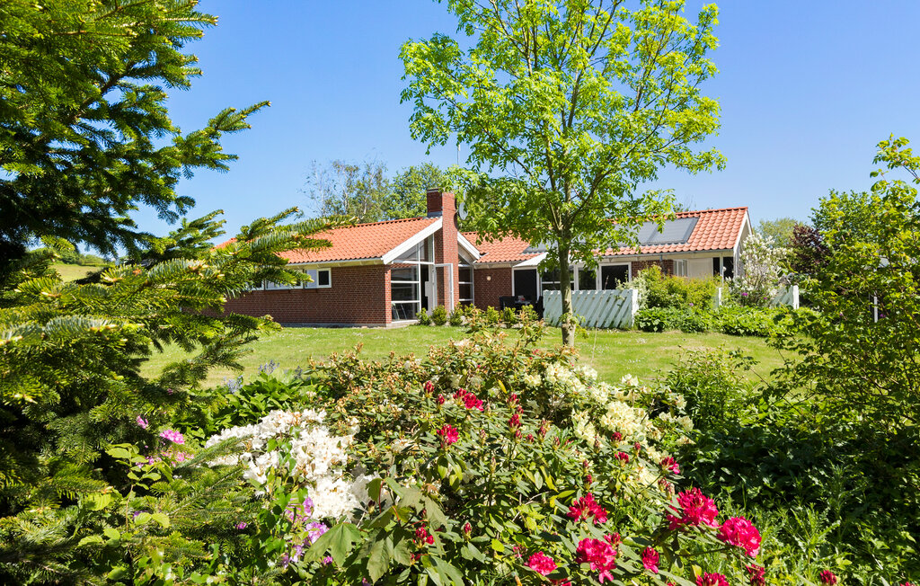 Ferienhaus - Knebel Strand , Dänemark - D39039 8