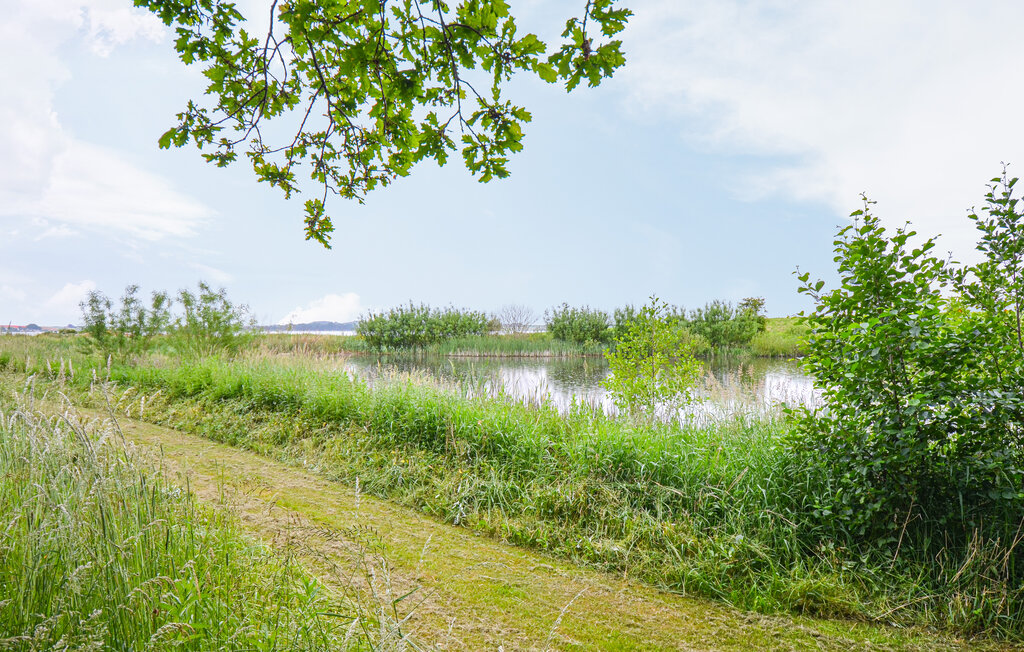 Feriehuse - Knebel Strand , Danmark - D39765 39