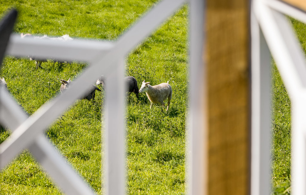 Ferienhaus - Ajstrup Strand , Dänemark - D4048 18