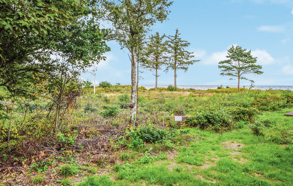Ferienhaus - Dyngby Strand , Dänemark - D4035 7