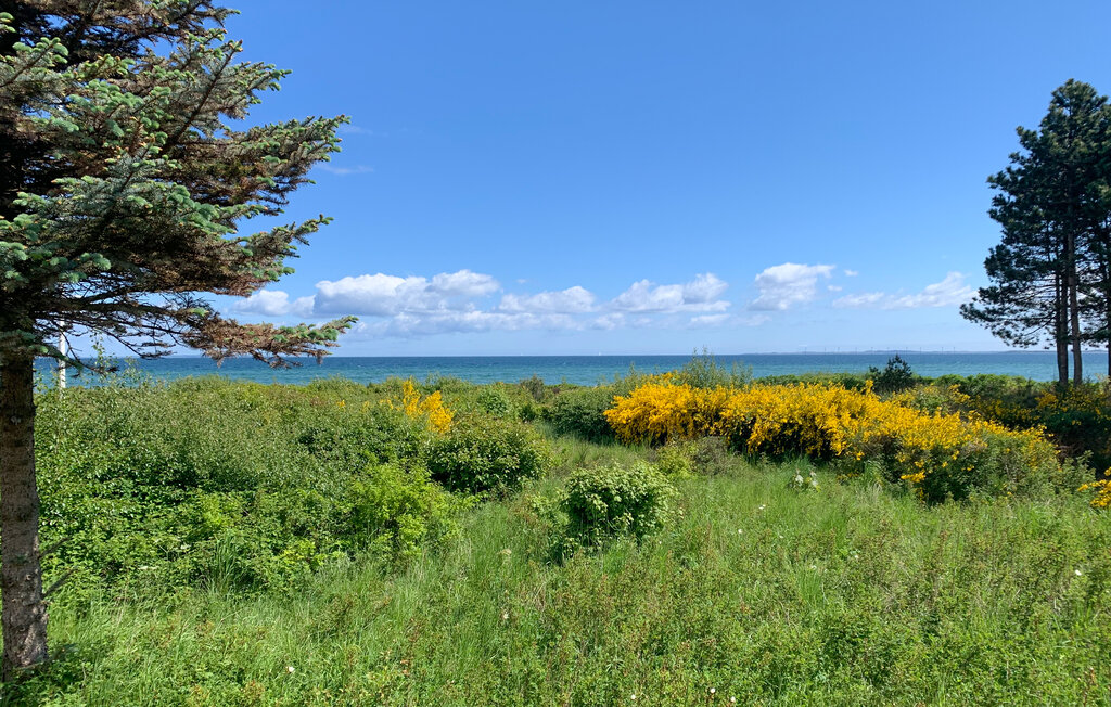 Feriehus - Dyngby Strand , Danmark - D4041 20