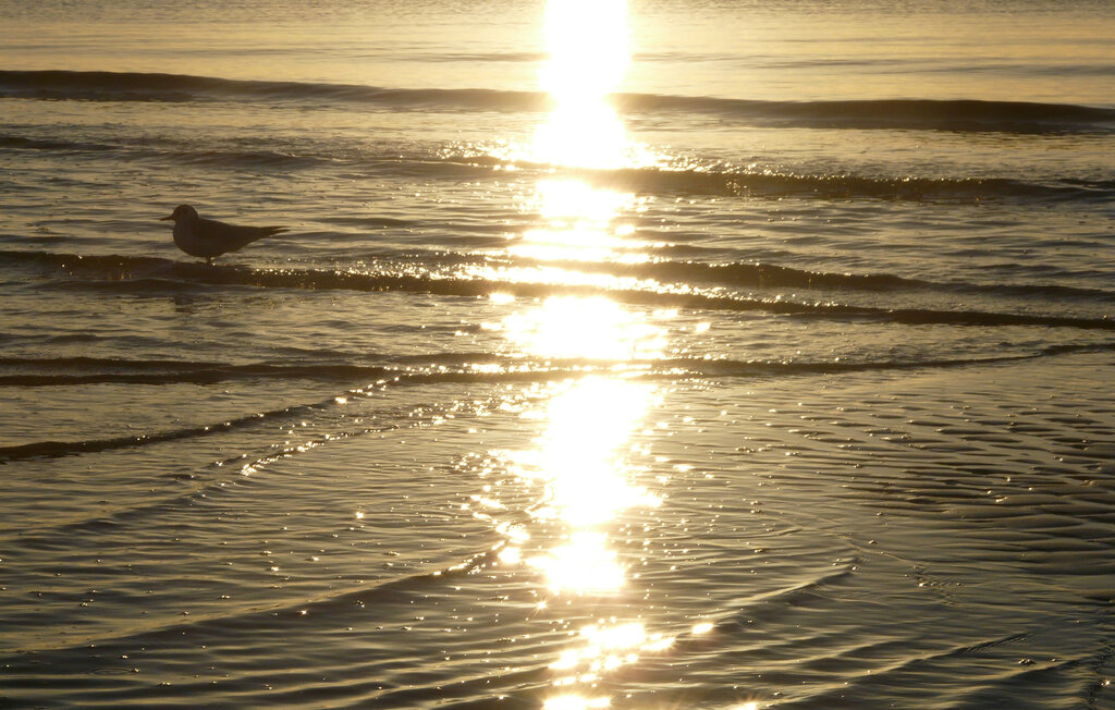 Feriehus - Dyngby Strand , Danmark - D4041 22