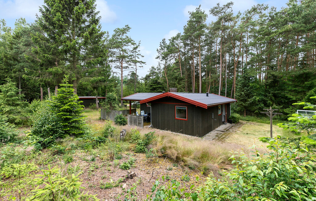 Ferienhaus - Ebdrup , Dänemark - D44194 11