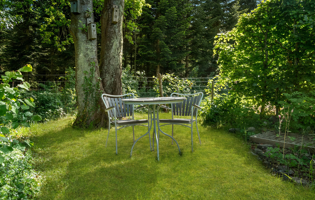 Ferienhaus - Gl. Løgten Strand , Dänemark - D52066 9