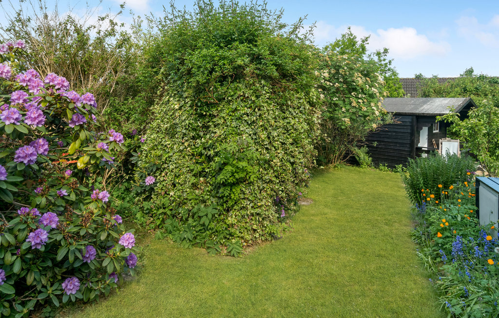 Ferienhaus - Gl. Løgten Strand , Dänemark - D52066 10