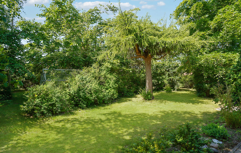 Feriehus - Nordre Strandvej 170 , Danmark - D53170 12