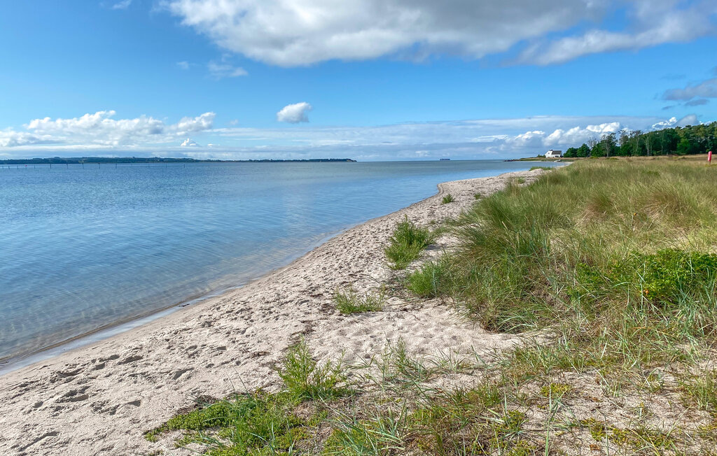 Ferienhaus - Skæring Strand , Dänemark - D53012 8