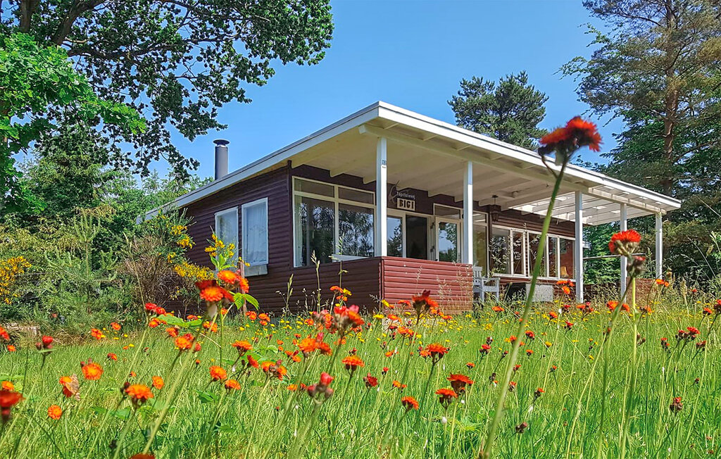 Ferienhaus - Skæring Strand , Dänemark - D53012 1
