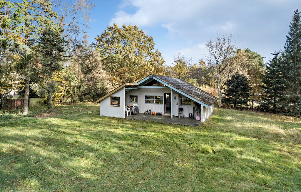 Ferienhaus - Thorsager , Dänemark - D55009 1