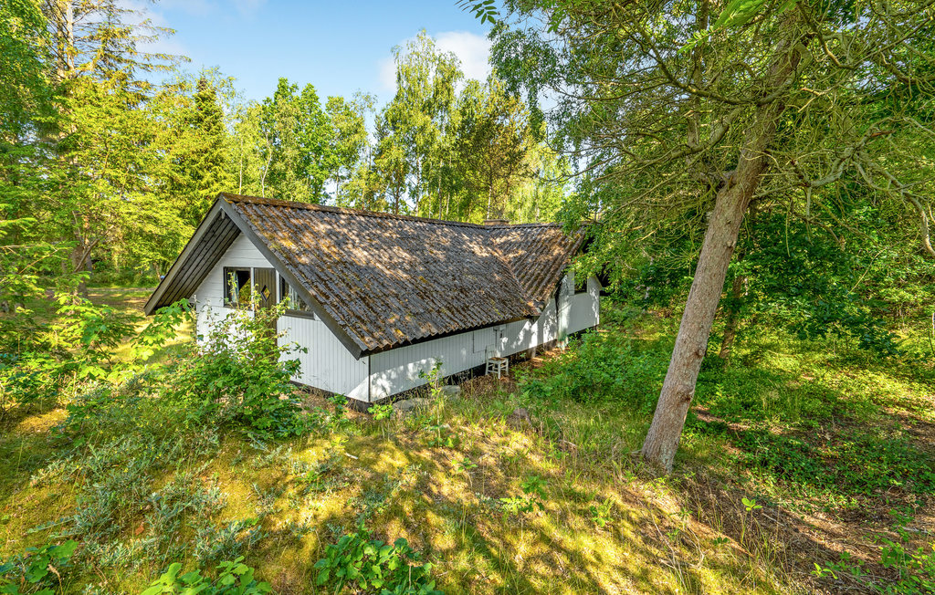 Ferienhaus - Helberskov Strand , Dänemark - D6010 11