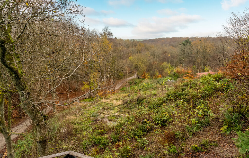 Feriehuse - Lundby Krat , Danmark - D61117 9