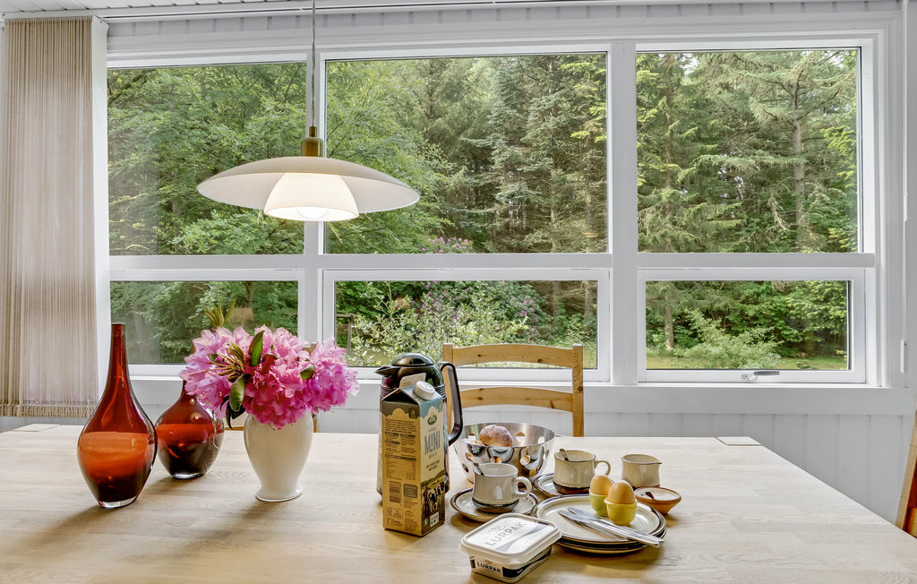 Semesterhus - Lundby Krat , Danmark - D61011 19