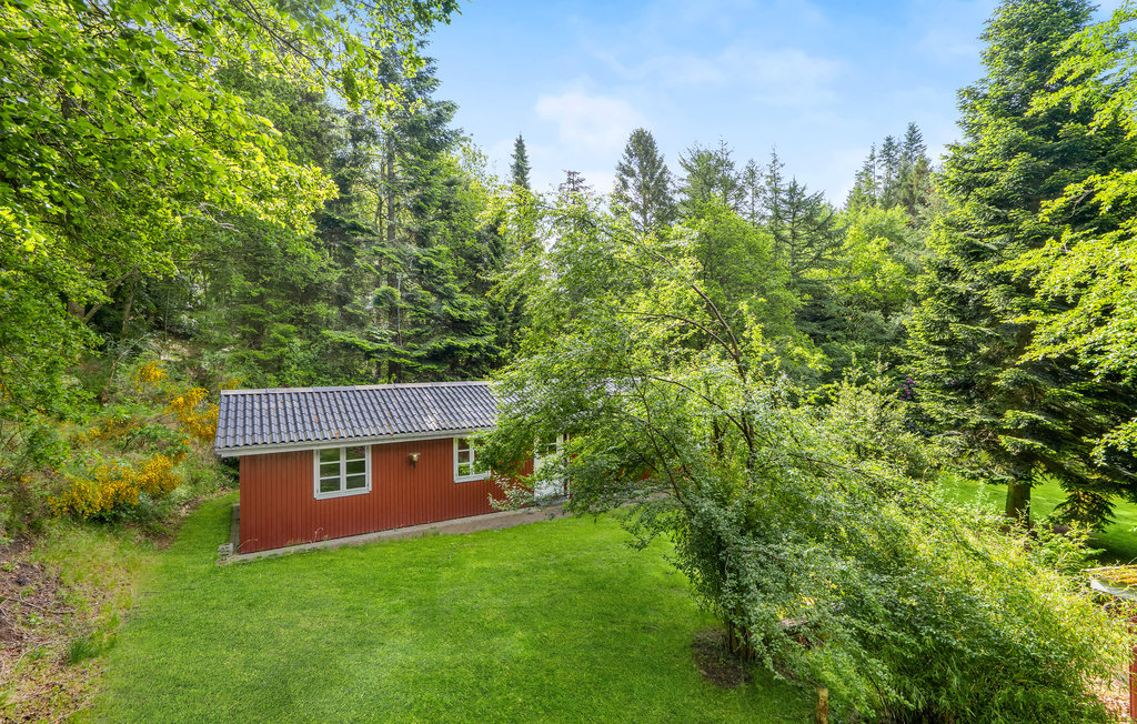 Semesterhus - Lundby Krat , Danmark - D61011 16