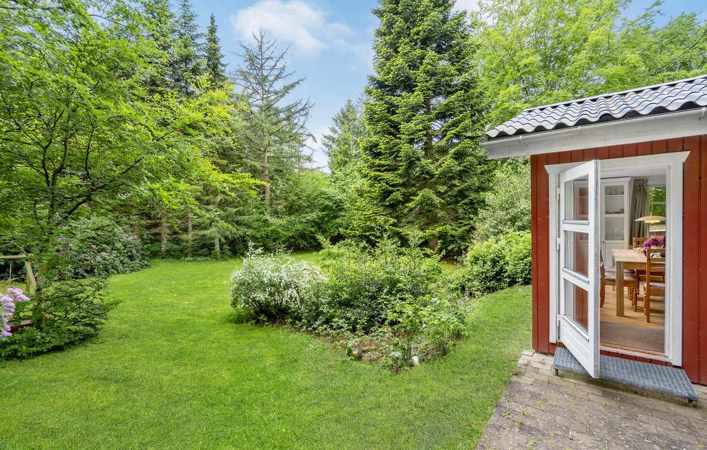 Semesterhus - Lundby Krat , Danmark - D61011 14