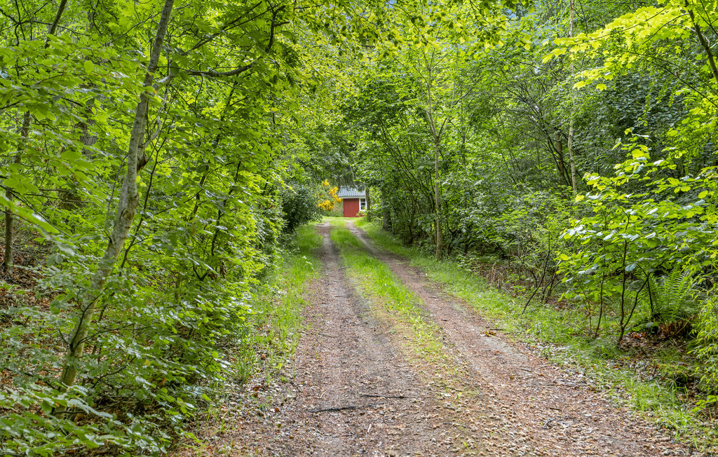 Semesterhus - Lundby Krat , Danmark - D61011 17