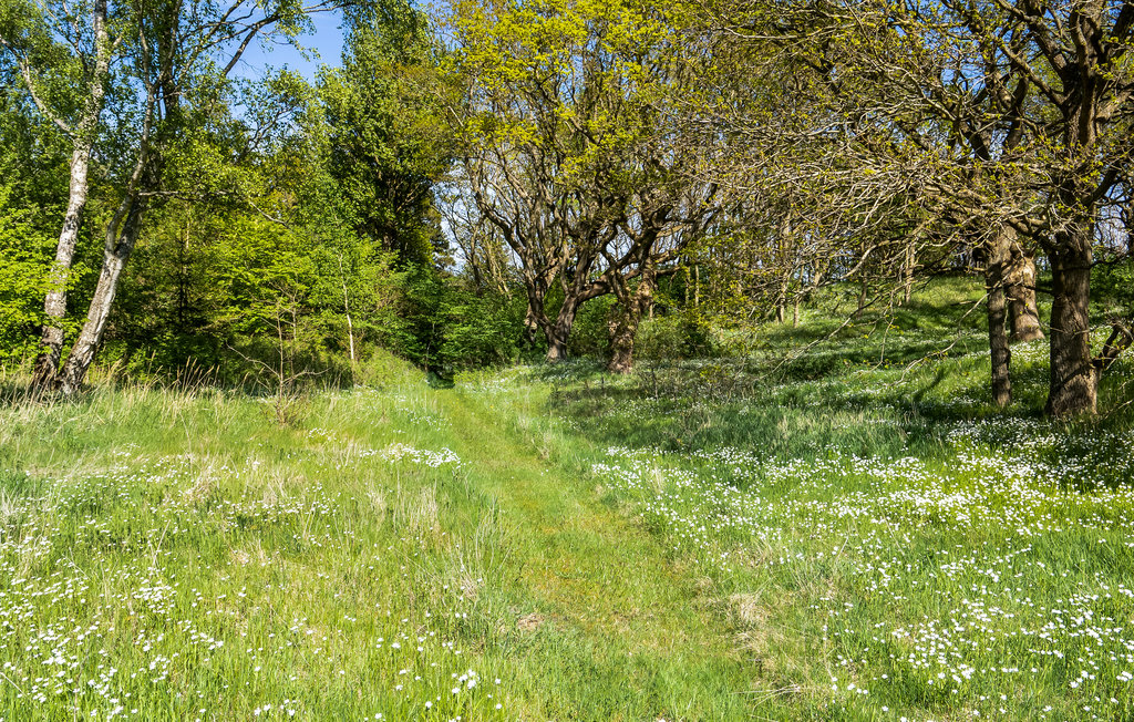 Ferienwohnung - Egense-Dokkedal , Dänemark - D61703 17
