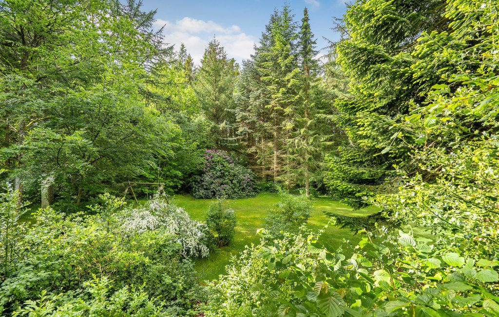 Semesterhus - Lundby Krat , Danmark - D61011 15