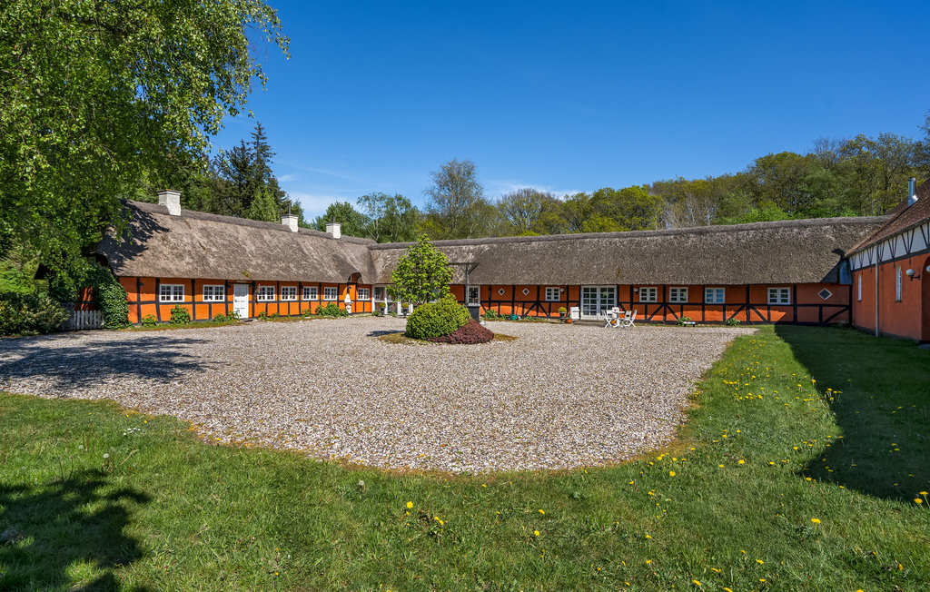 Ferienwohnung - Egense-Dokkedal , Dänemark - D61703 15