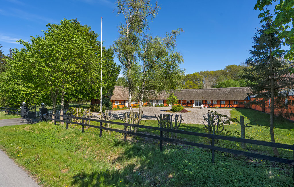 Ferienwohnung - Egense-Dokkedal , Dänemark - D61703 12