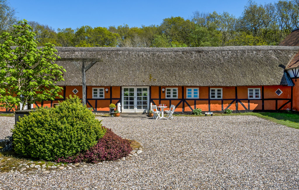 Ferienwohnung - Egense-Dokkedal , Dänemark - D61703 14