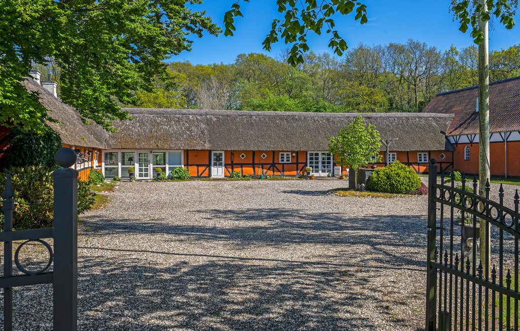 Ferienwohnung - Egense-Dokkedal , Dänemark - D61703 11
