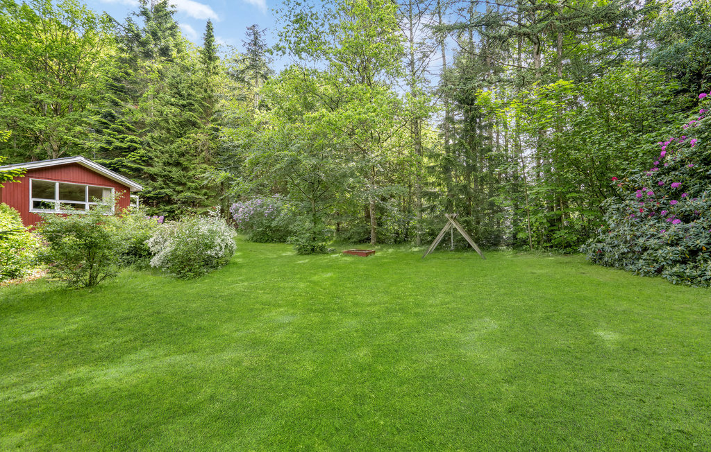 Semesterhus - Lundby Krat , Danmark - D61011 10