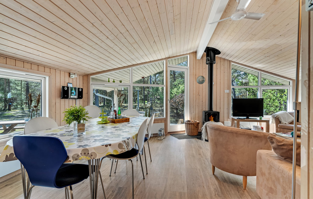 Ferienhaus - Als Odde Strand , Dänemark - D6125 2