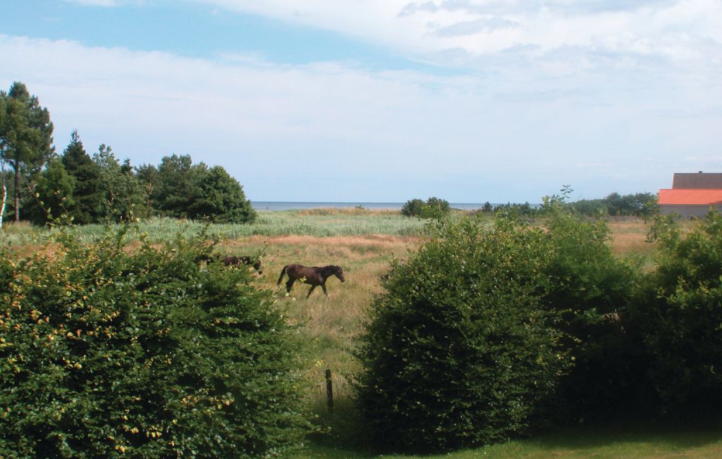 Feriehus - Øster Hurup , Danmark - D62523 7