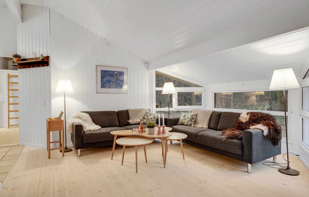 Ferienhaus - Als Odde Strand , Dänemark - D62055 3