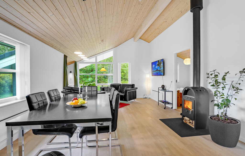 Ferienhaus - Helberskov Strand , Dänemark - D62014 6