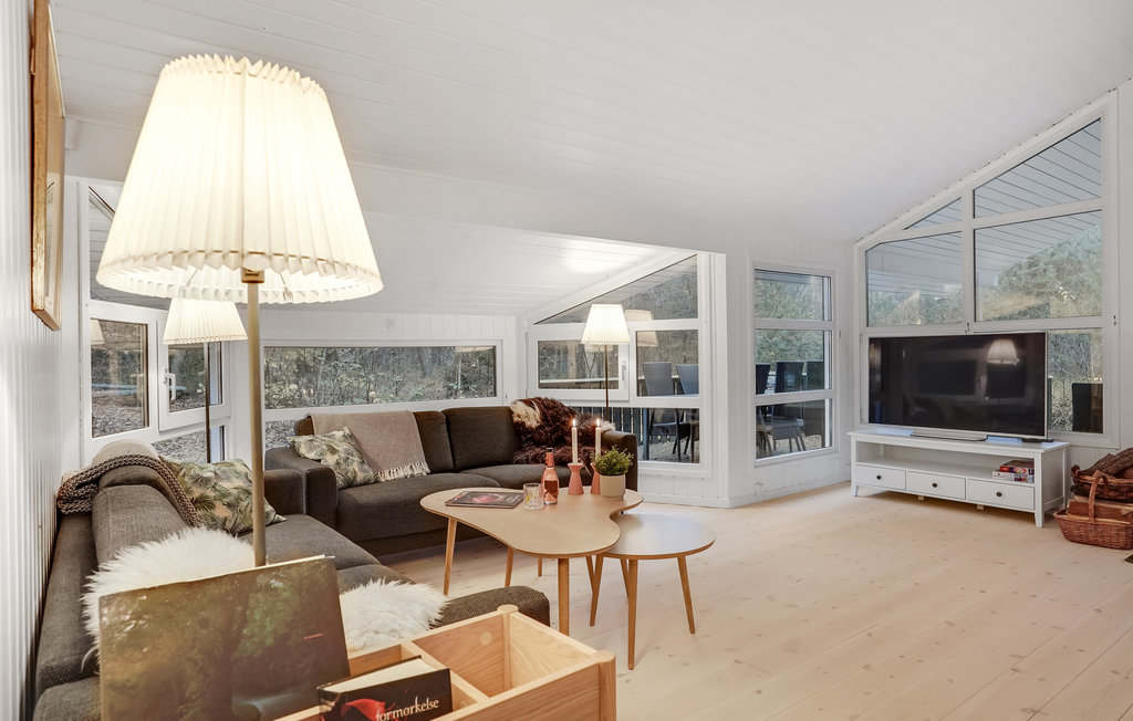 Ferienhaus - Als Odde Strand , Dänemark - D62055 4