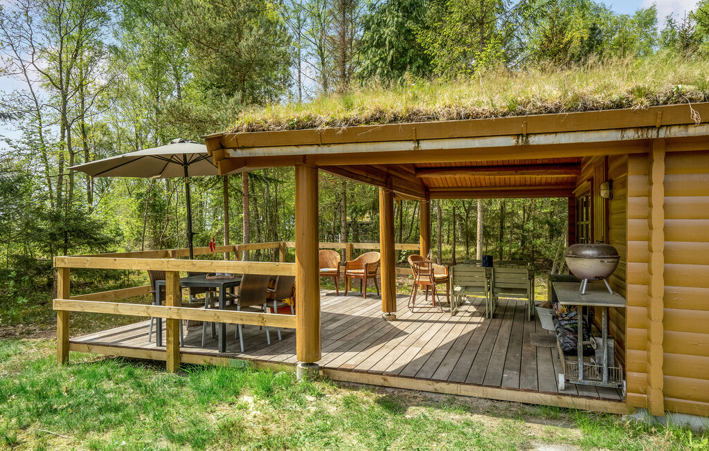 Feriehuse - Als Odde Strand , Danmark - D62108 10