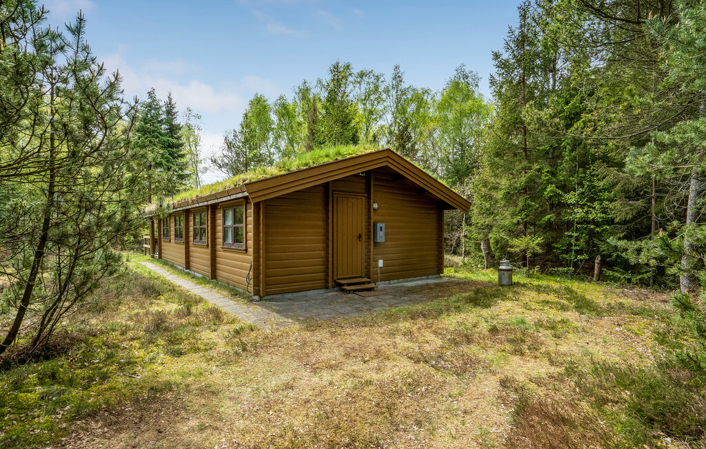 Feriehuse - Als Odde Strand , Danmark - D62108 14