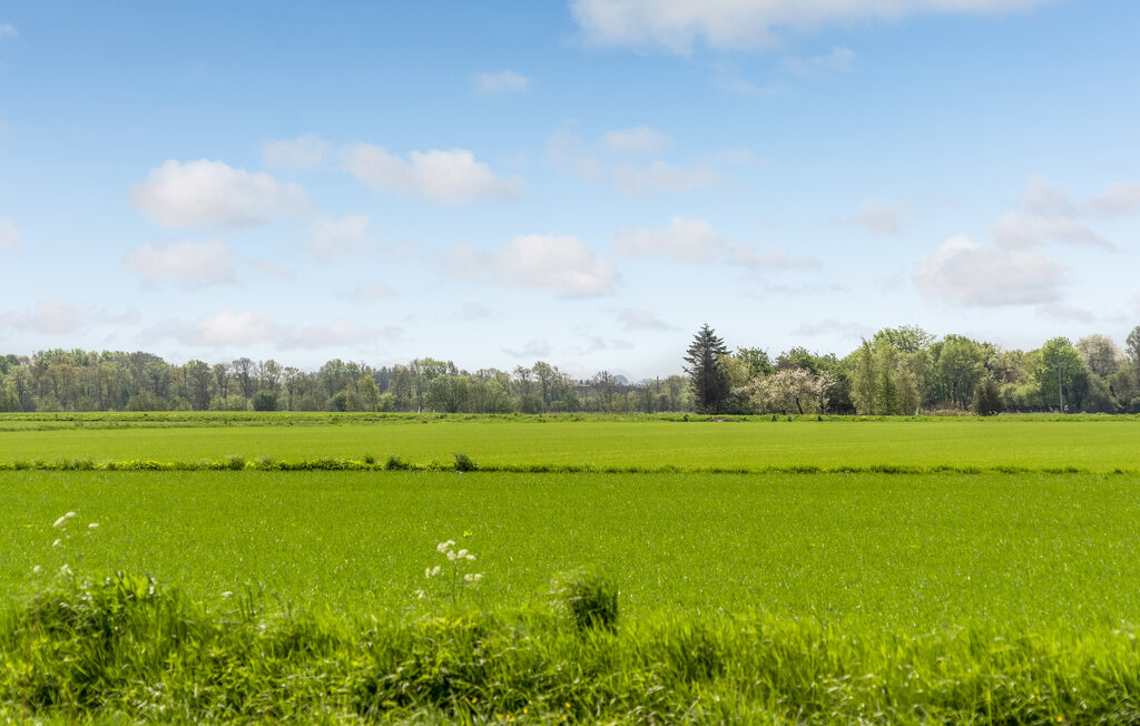 Ferienhaus - Øster Hurup Strand , Dänemark - D62001 14