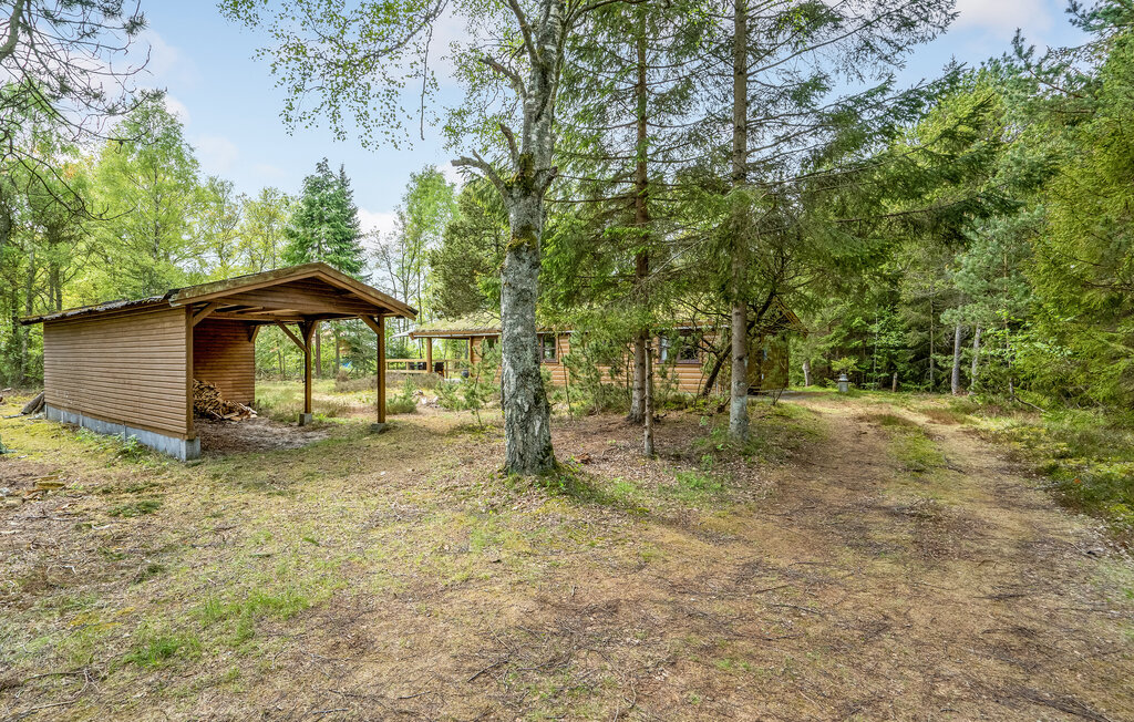 Feriehuse - Als Odde Strand , Danmark - D62108 12