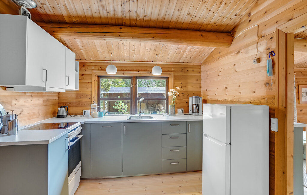 Feriehuse - Als Odde Strand , Danmark - D62108 7