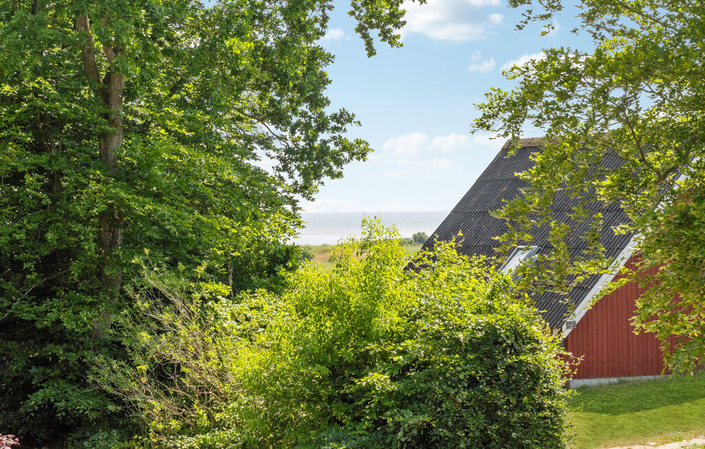 Ferienhaus - Øster Hurup Strand , Dänemark - D62005 19
