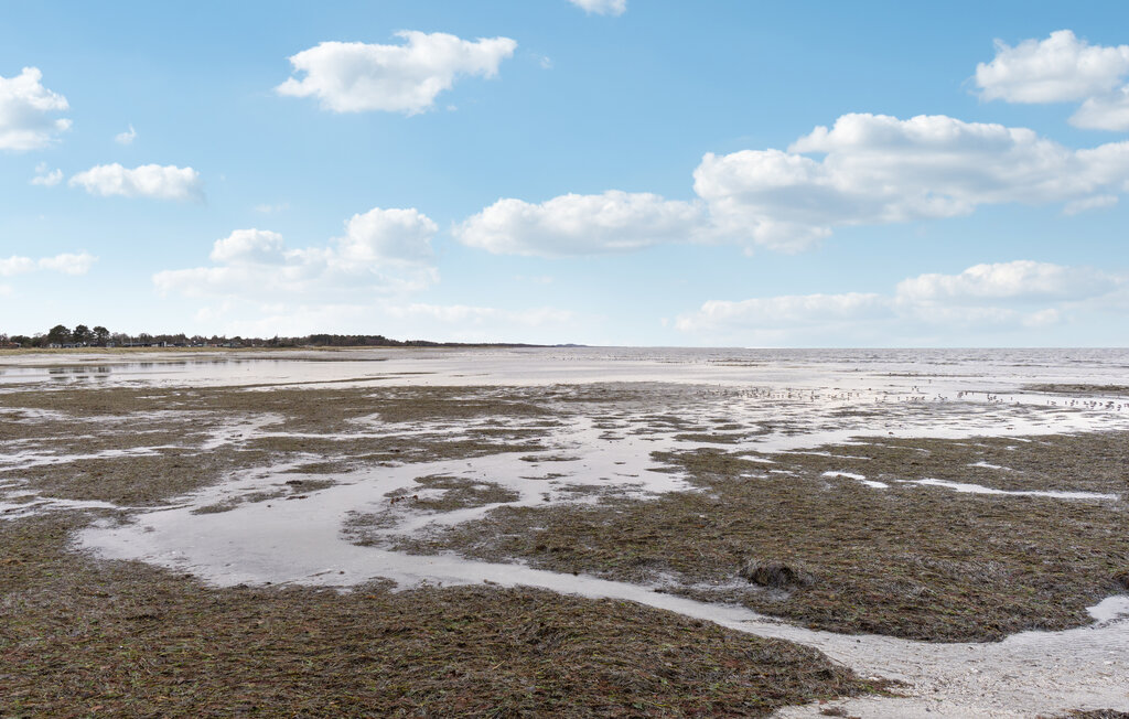 Semesterhus - Øster Hurup , Danmark - D62019 22