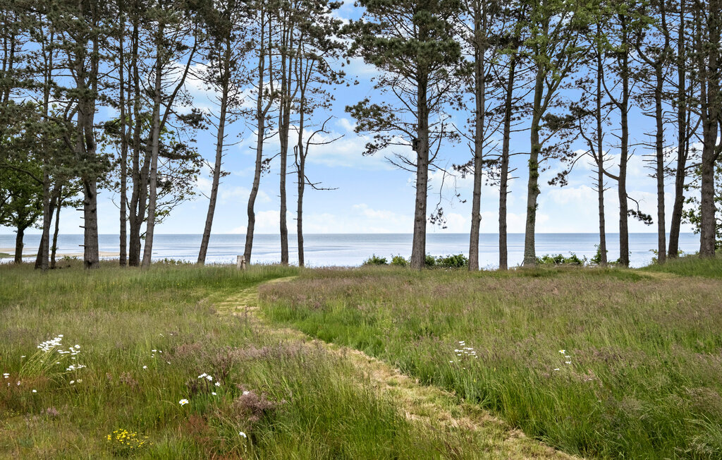 Semesterhus - Øster Hurup , Danmark - D62111 23