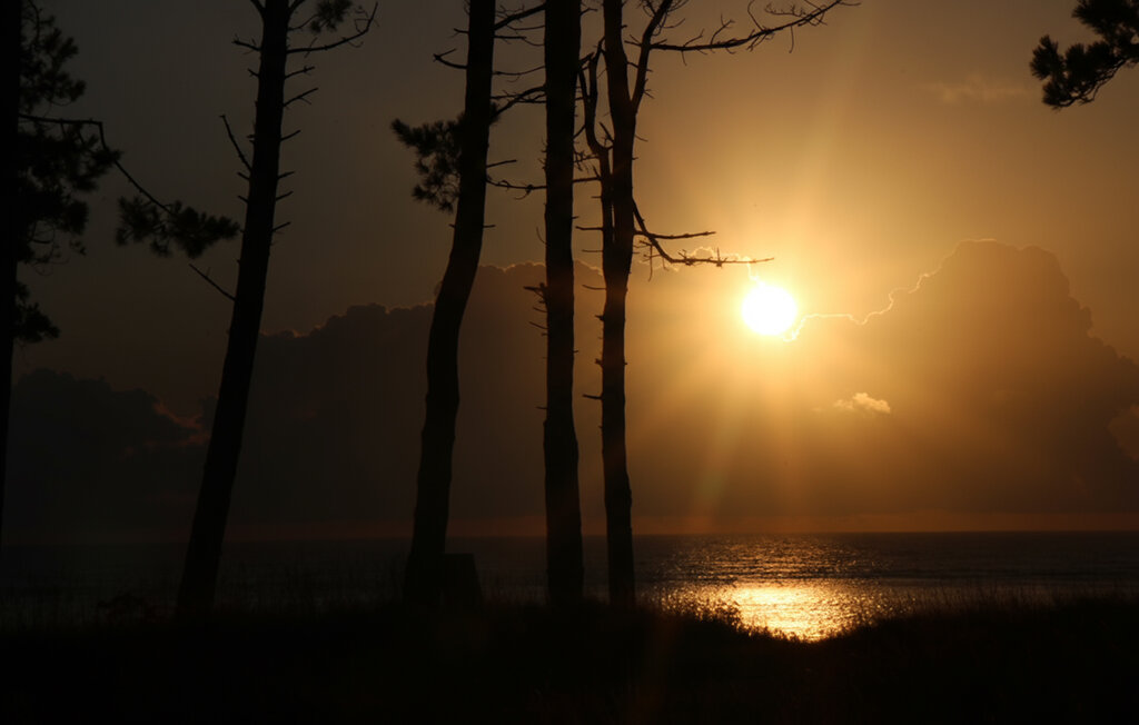 Semesterhus - Øster Hurup , Danmark - D62111 35