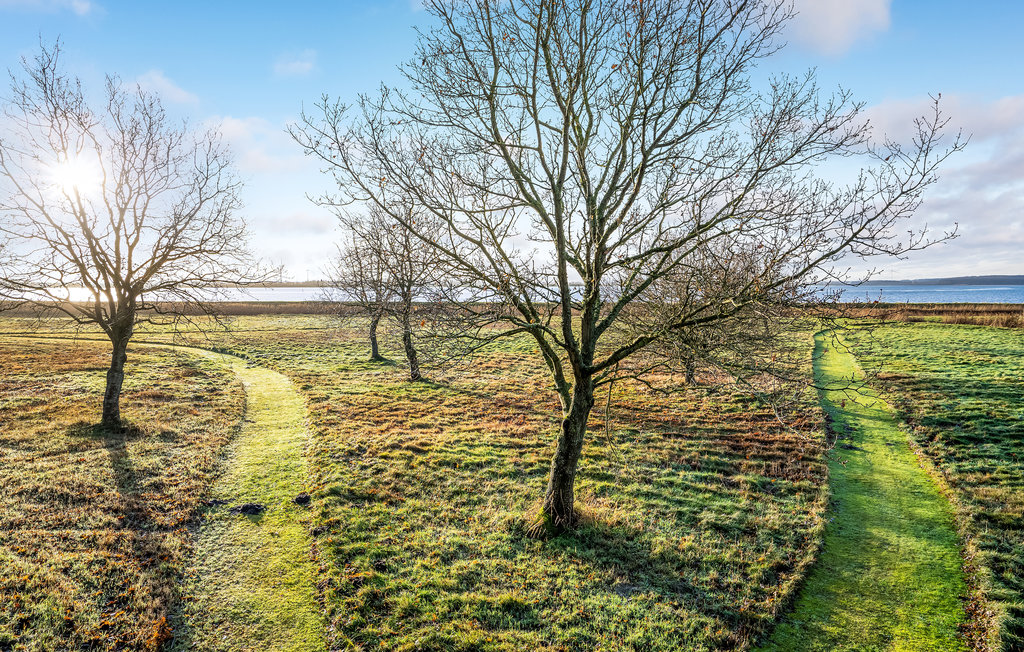 Ferienhaus - Helberskov Strand , Dänemark - D63024 18