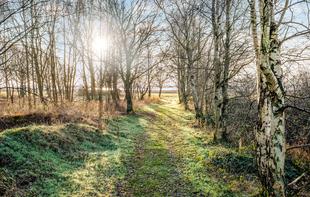 Ferienhaus - Helberskov Strand , Dänemark - D63024 19