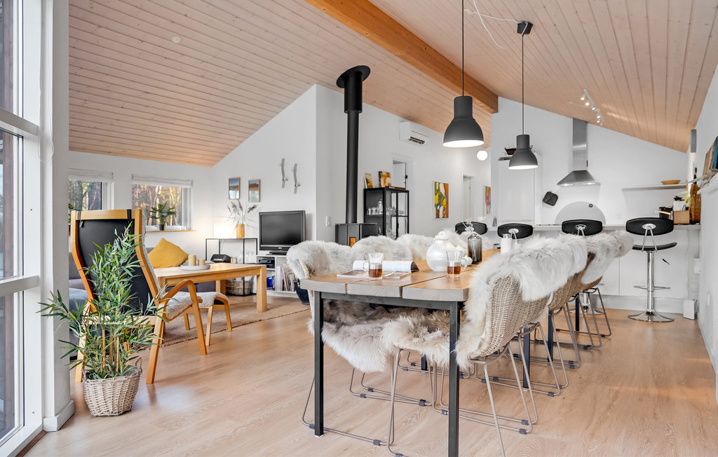 Ferienhaus - Helberskov Strand , Dänemark - D63024 6