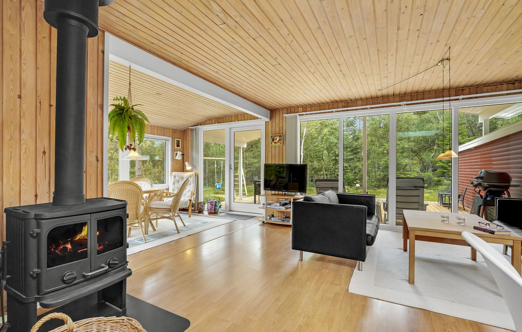 Feriehuse - Helberskov , Danmark - D63727 5