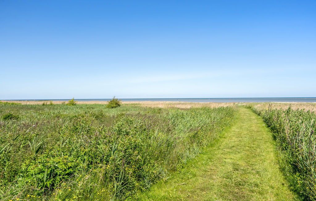 Feriehuse - Als Odde , Danmark - D63122 23