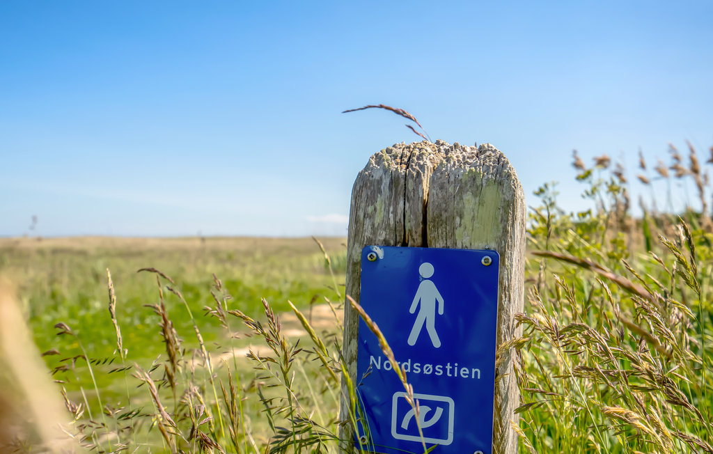 Feriehuse - Als Odde , Danmark - D63122 24